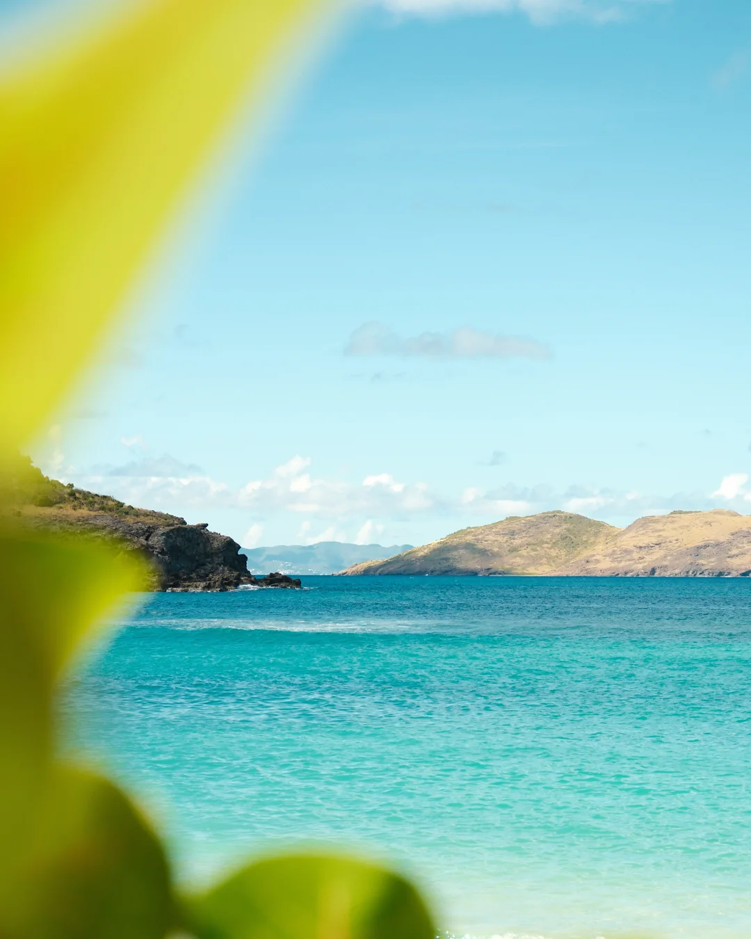 Turquoise water and an island, seen through leaves at Gyp Sea.